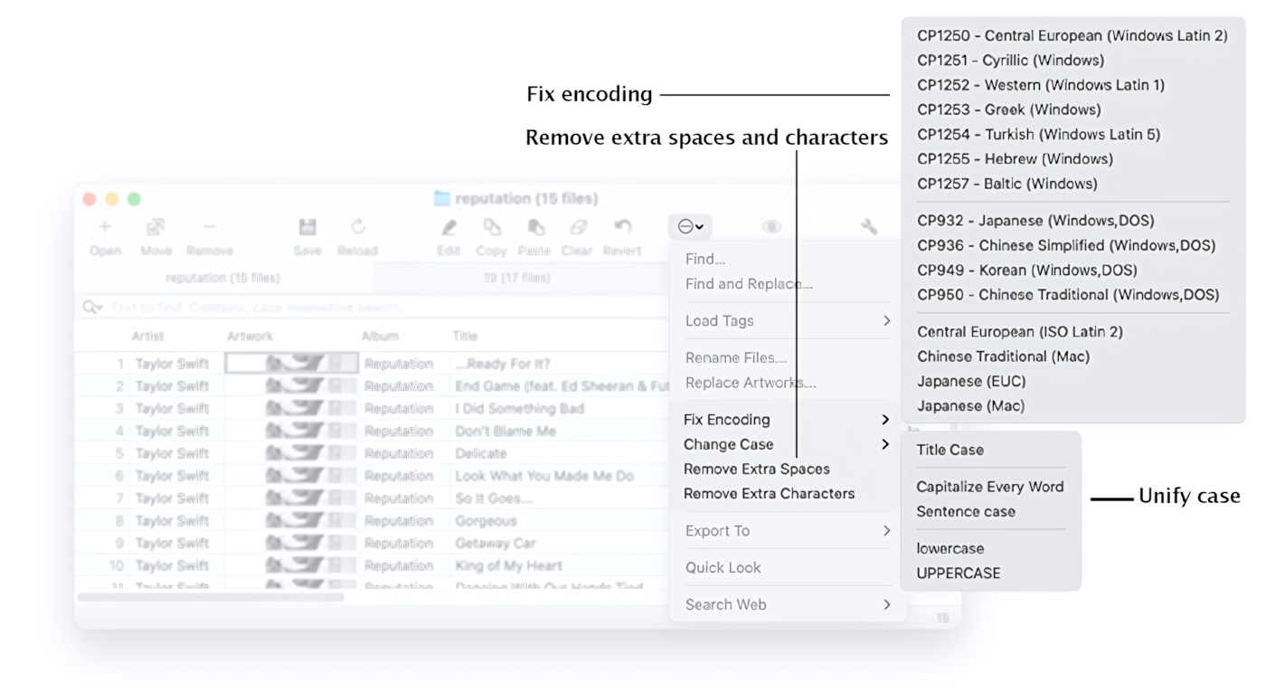 Cleaning Up and Improving Tags - Amvidia Tag Editor for Mac
